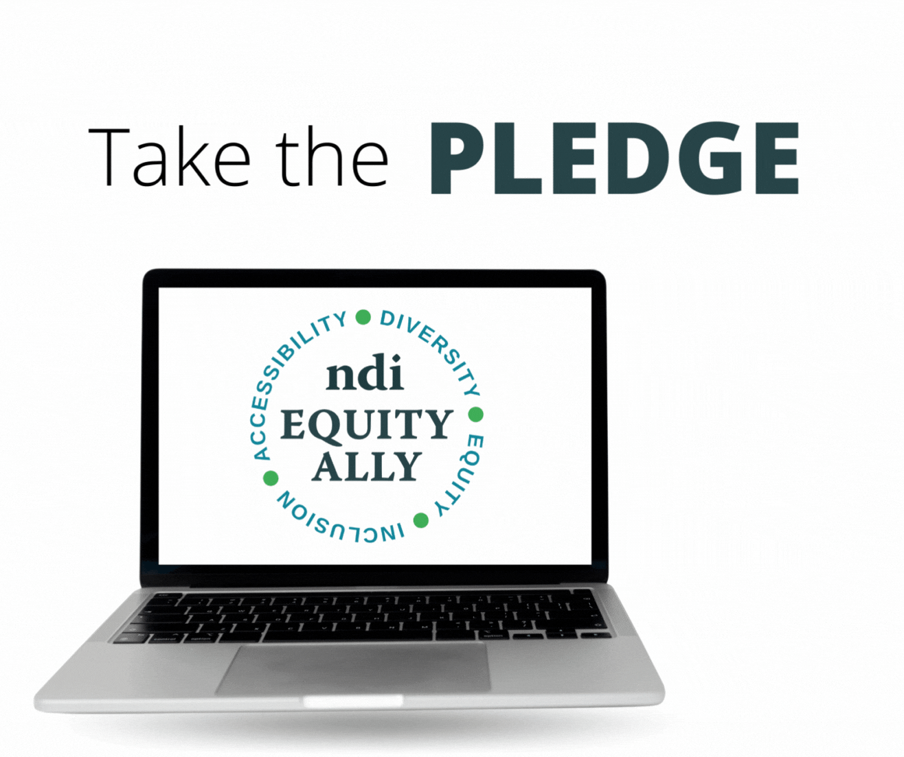 Take the Pledge -- Become an NDI Equity Ally